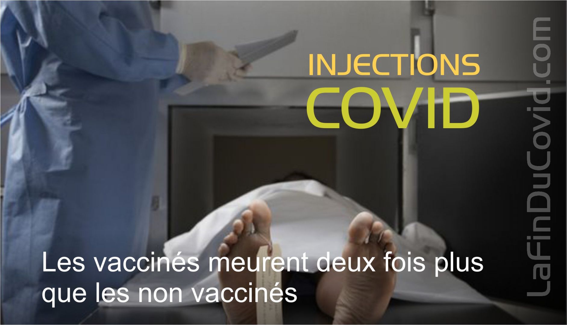 Les vaccinés meurent deux fois plus que les non vaccinés en concordance avec les données internationales